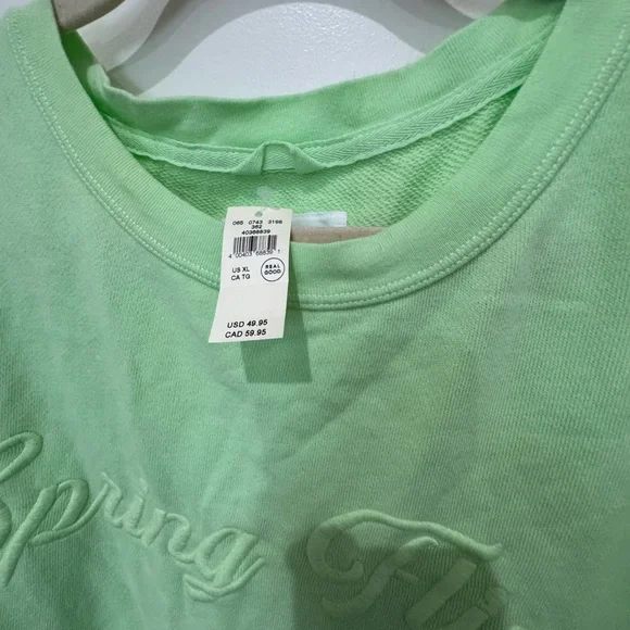 Aerie Light Green Embroidered Sweatshirt - Picture 3 of 4